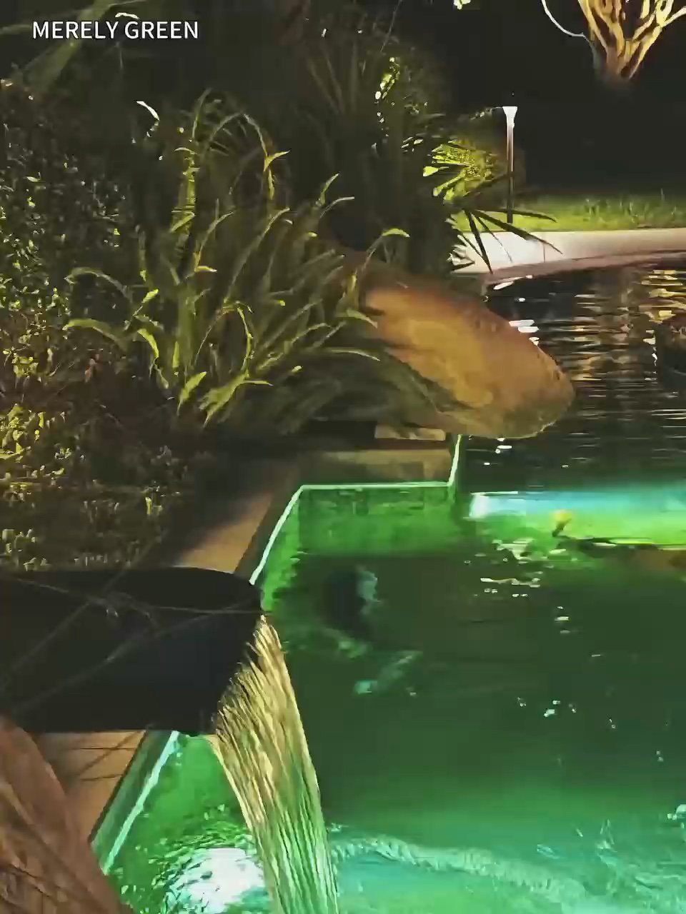 温州七都荣锦园花园