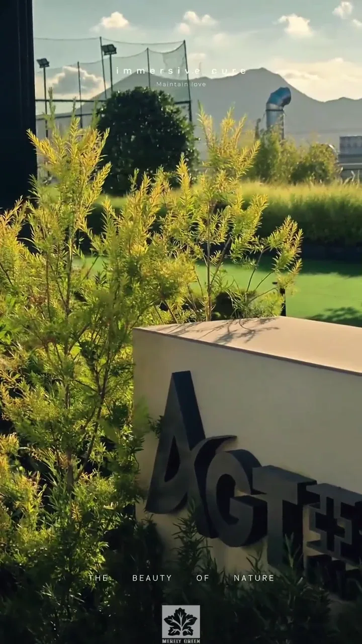 温州亚光科技屋顶花园视频封面